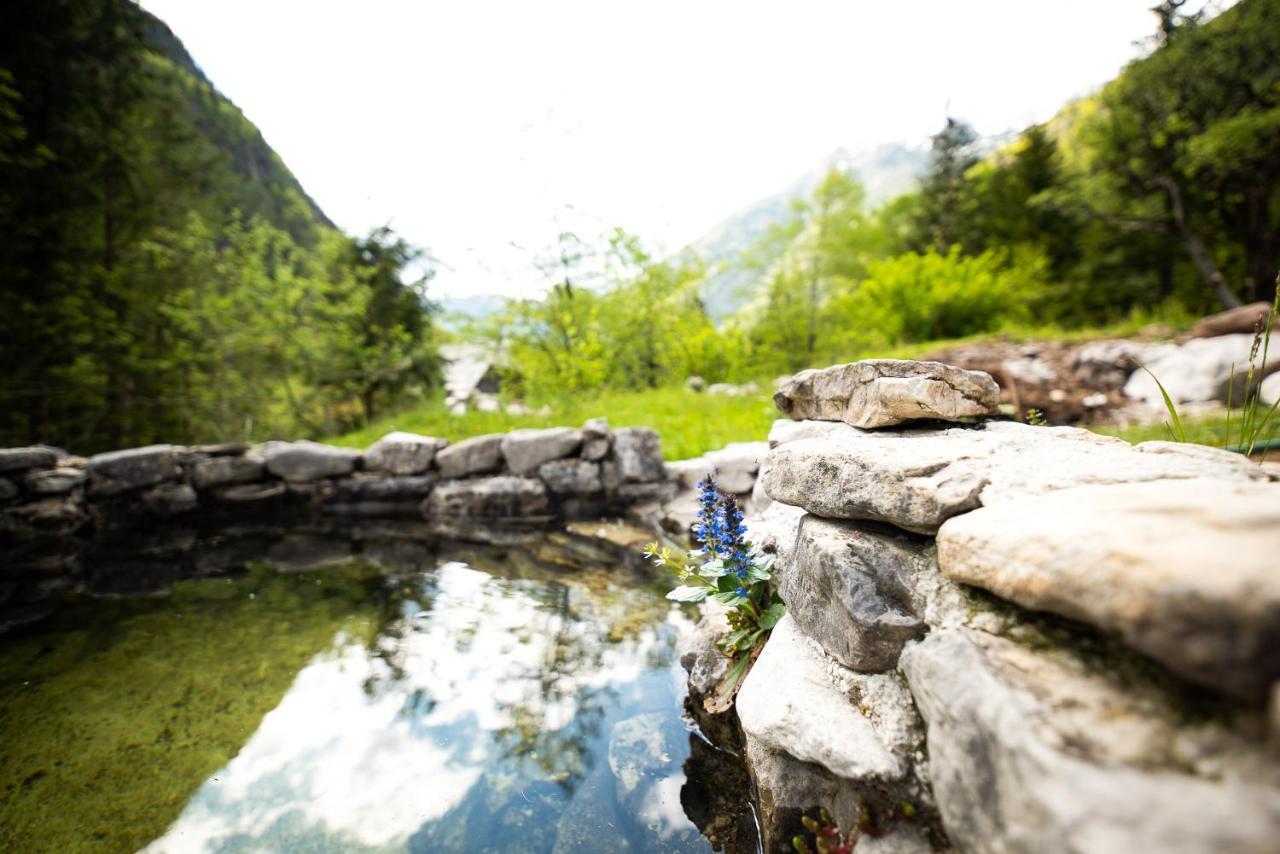 Wild Flower Cottage In 特伦塔 外观 照片